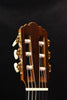 Yamaha GC42C Classical Guitar Cedar Top