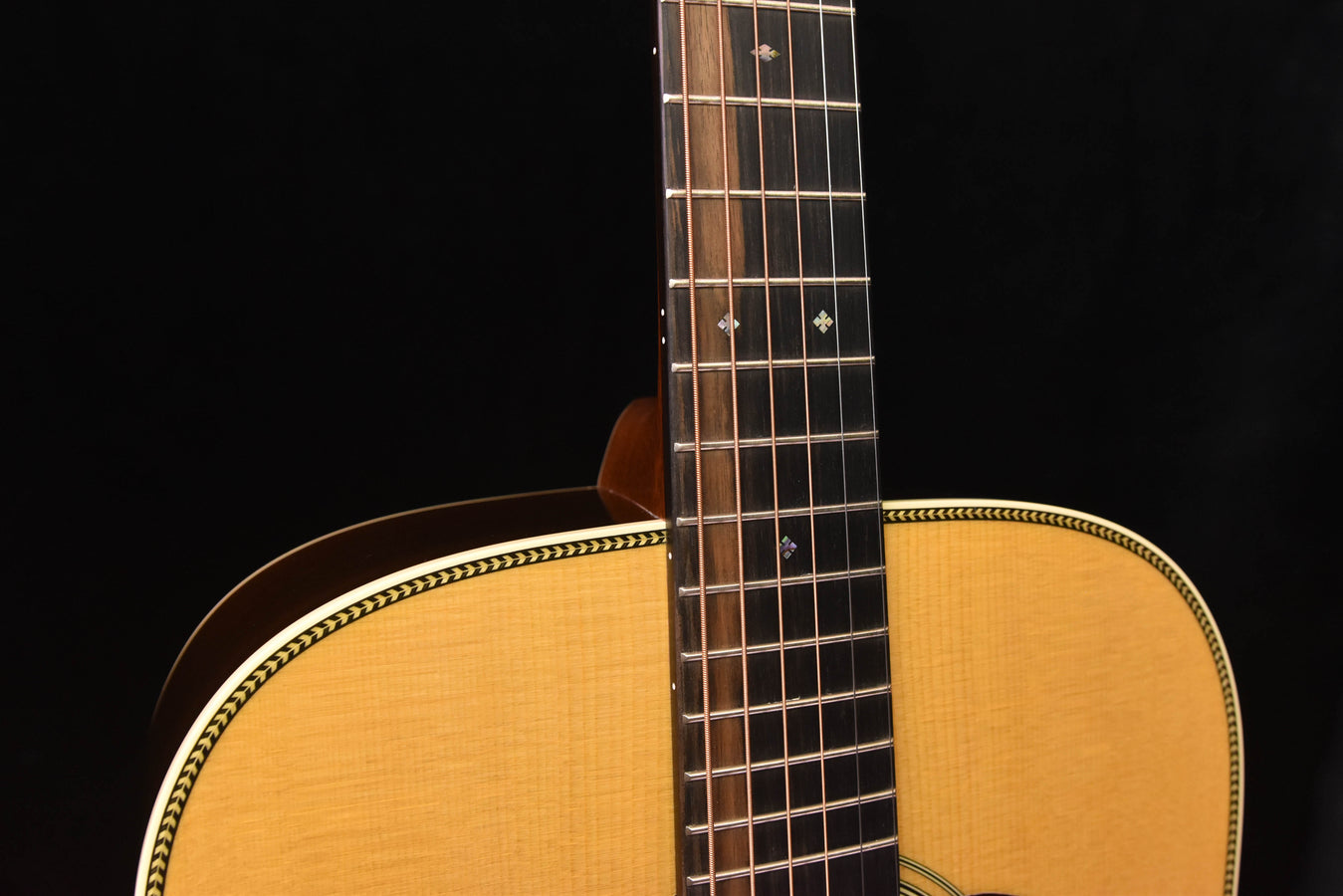 Signature dreadnought acoustic guitar neck close-up with dot inlays and fretboard