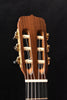 Jose Ramirez Tiempo-C Cedar Top Classical Guitar
