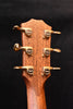 Taylor acoustic guitar headstock close-up with gold tuning pegs.