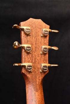 taylor acoustic guitar headstock close-up with gold tuning pegs.