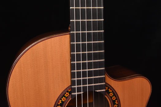 cutaway classical guitar close-up of fretboard and upper bout edge