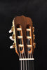 Cutaway classical guitar headstock with tuning pegs and glossy natural wood