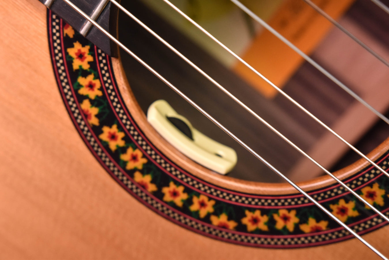 Classical guitar soundhole rosette detail with strings and ornate border
