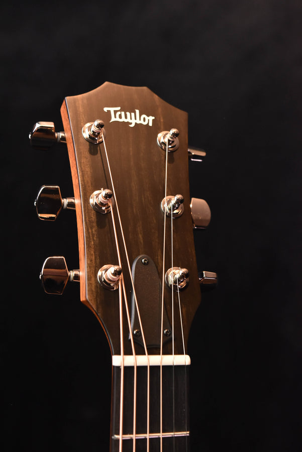 Taylor acoustic guitar headstock with chrome tuners and Taylor logo