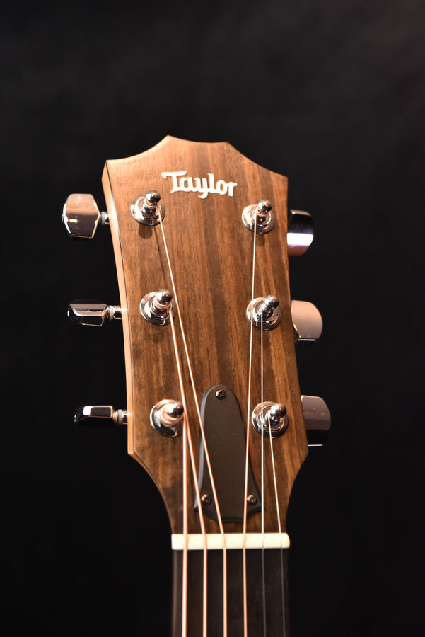 Taylor acoustic guitar headstock with chrome tuning pegs