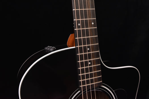 taylor 214ce dlx special edition blacktop acoustic/electric guitar