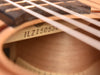 Inscribed serial number on inside fretboard area of nylon-string acoustic-electric guitar