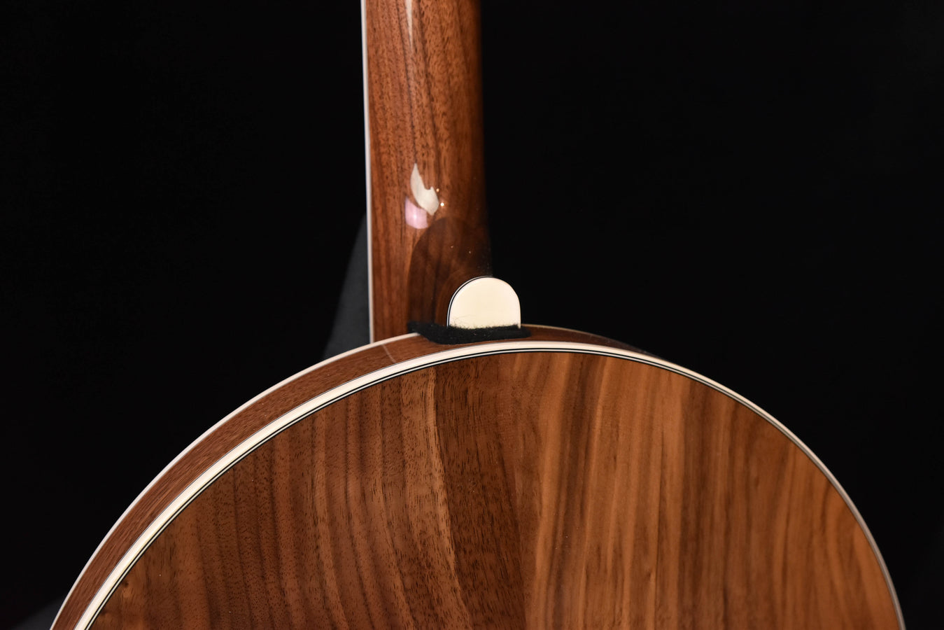 Banjo headstock and neck above brown wooden rim with white binding