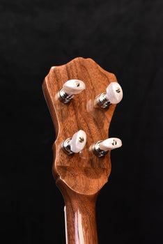 banjo headstock with five tuning pegs on brown wood
