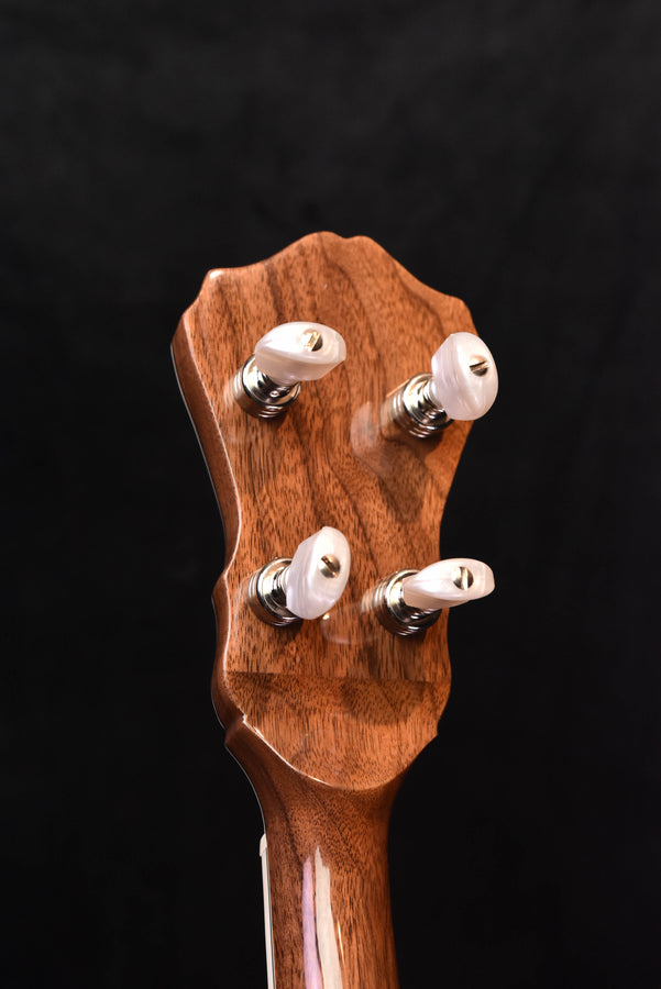 Banjo headstock with five tuning pegs on brown wood