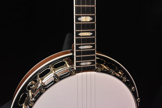 banjo drum rim detail with engraved metal hardware and strings over white head