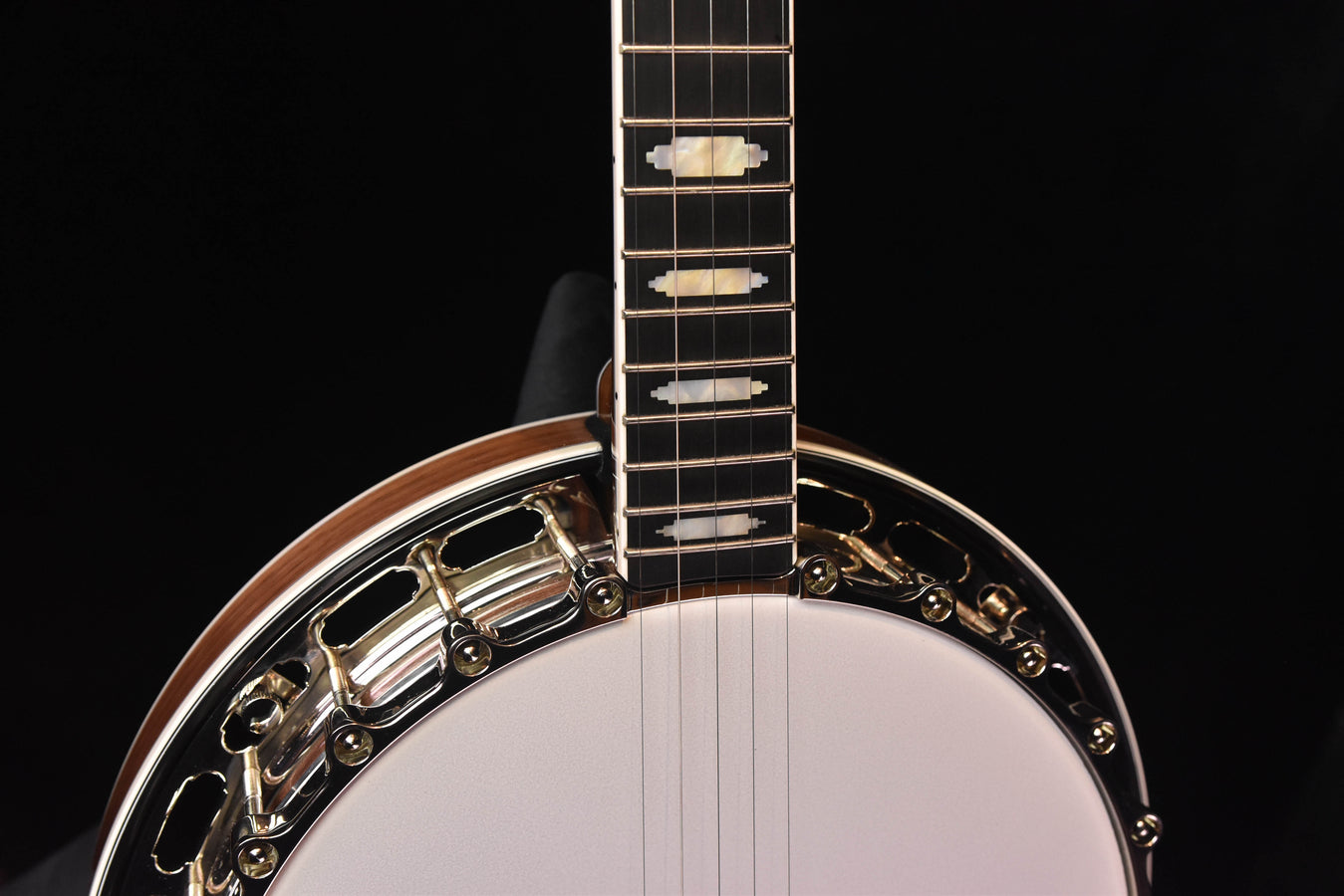 Banjo drum rim detail with engraved metal hardware and strings over white head