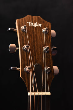 taylor acoustic guitar headstock with tuning pegs and taylor logo.