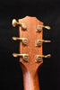 Acoustic guitar headstock close-up with gold tuning buttons and tuning pegs