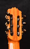Classical guitar headstock close-up with tuning machines and string posts.