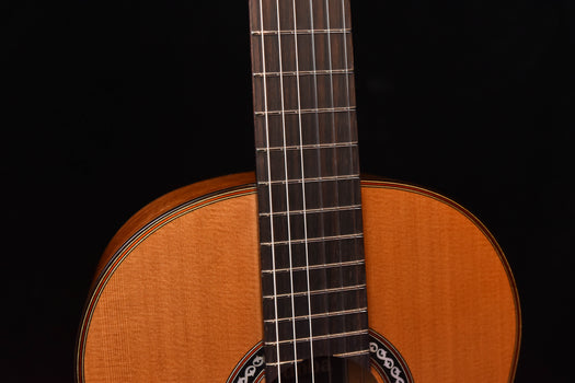 classical guitar neck and frets above sound hole with decorative rosette