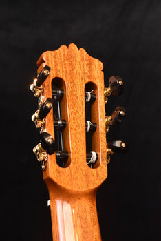 wood classical guitar headstock back with gold tuning machines and strings