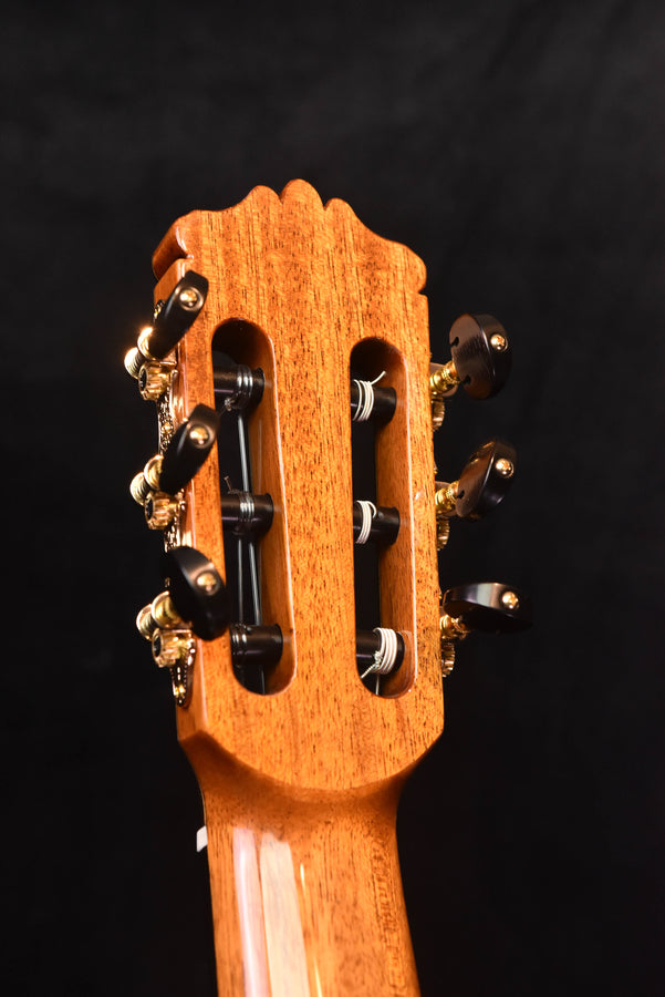 Wood classical guitar headstock back with gold tuning machines and strings