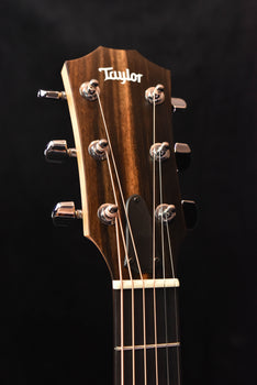 taylor acoustic guitar headstock with tuning pegs and logo