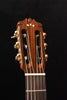 Classical guitar headstock with gold tuning pegs and wood grain