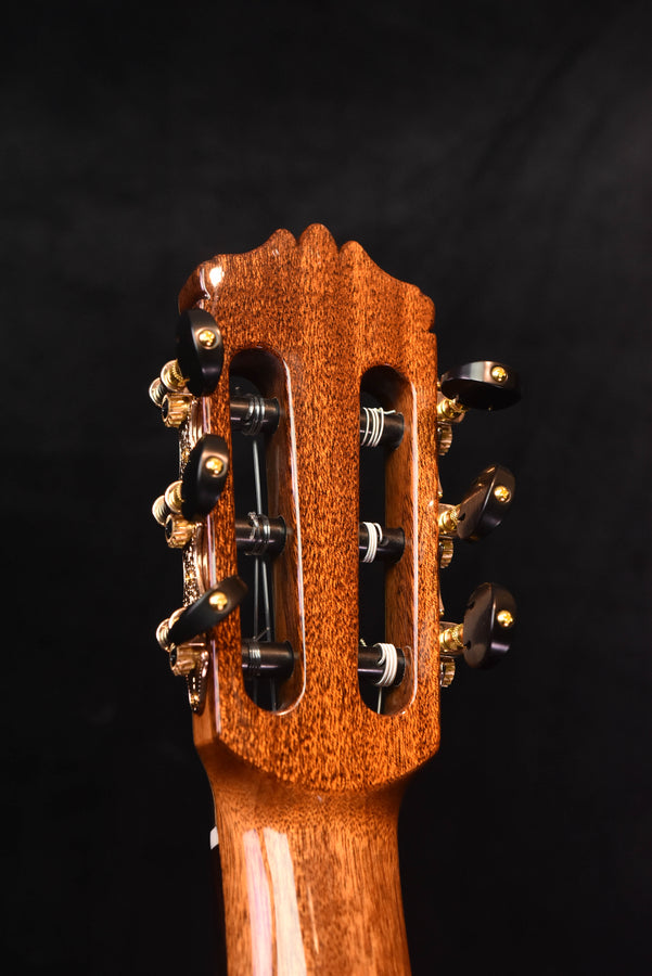 Classical guitar headstock rear with tuning machines and wood grain