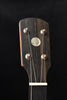 Banjo headstock with tuning pegs and white nut, dark wood