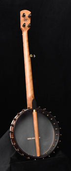 banjo front view with tuning pegs and open-back circular resonator