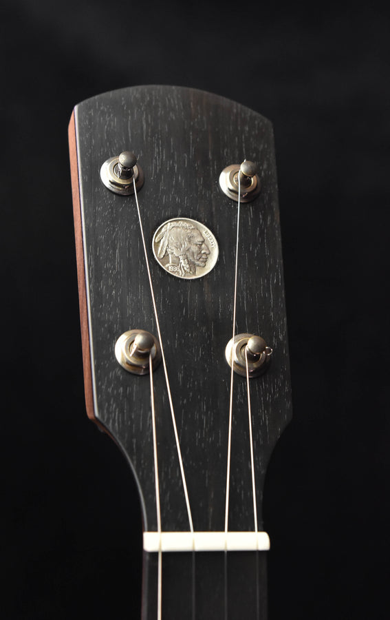 Banjo headstock close-up with dark wood, four tuning pegs, and strings