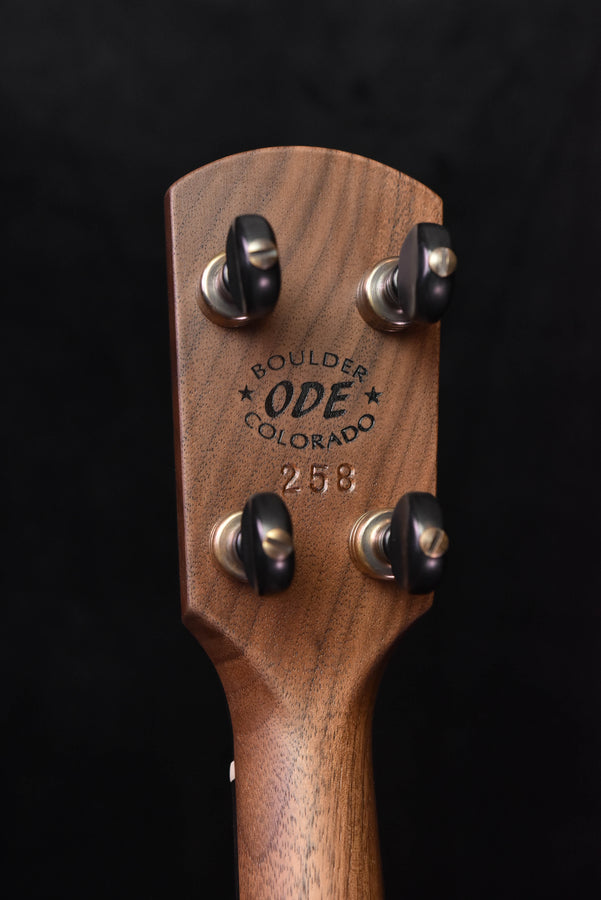 Banjo headstock showing ODE Boulder Colorado 258 with four tuning pegs
