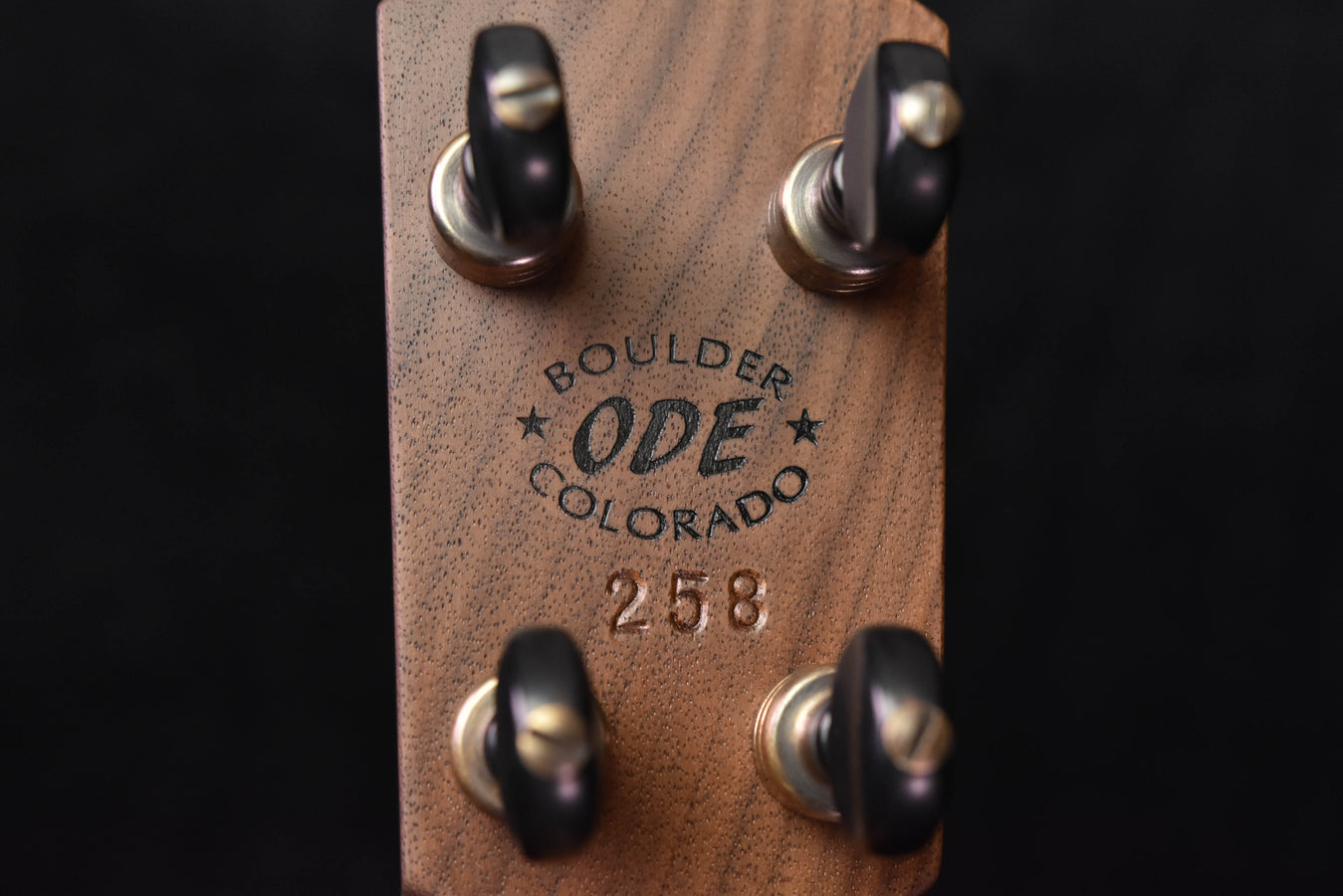 Close-up of ODE Boulder Colorado 258 on headstock with tuning pegs