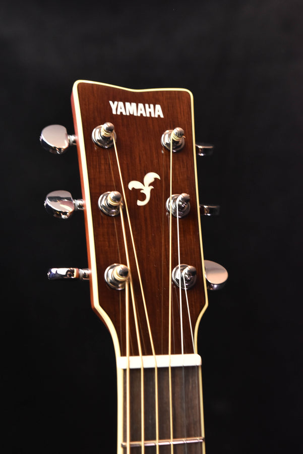 FG830 Natural acoustic guitar headstock with tuning pegs and brand logo