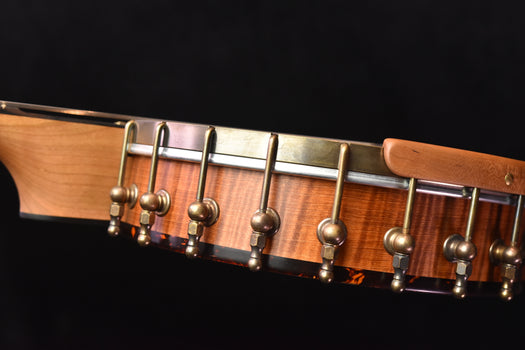 banjo tuning pegs and metal hardware on headstock underside