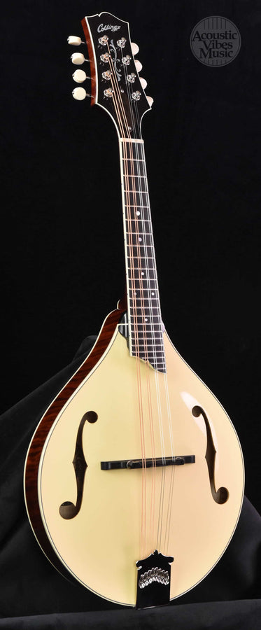 Collings  MT-2 Mandolin Cream Top