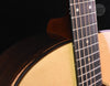 Bedell Limited Edition "Forte" Dreadnought  "Puerta" Brazilian Rosewood and Adirondack Spruce Guitar