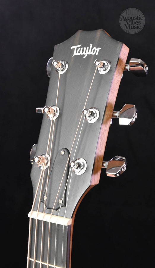 Taylor 110E Ovangkol/ Sitka- Special run