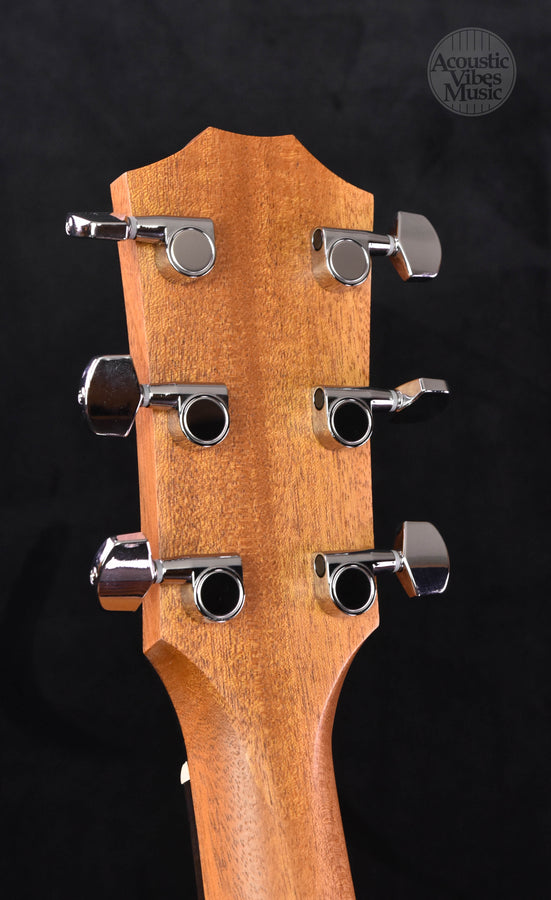 Taylor 110E Ovangkol/ Sitka- Special run