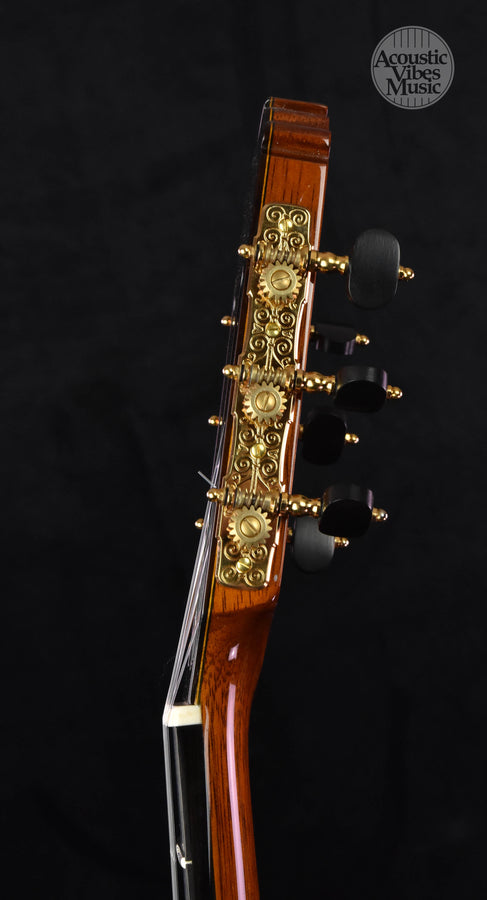 Cervantes Master Model Raised Fretboard. Cocobolo and Spruce