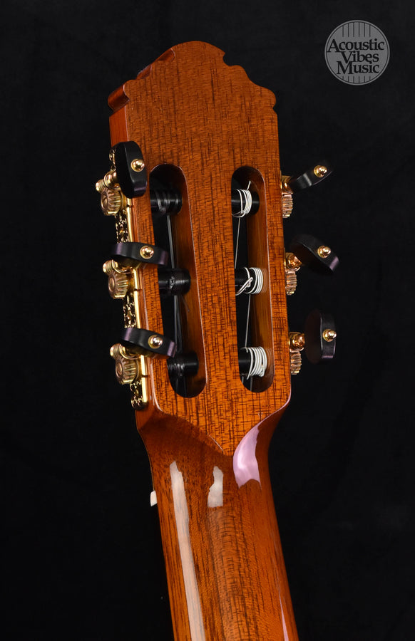 Cervantes Master Model Raised Fretboard. Cocobolo and Spruce