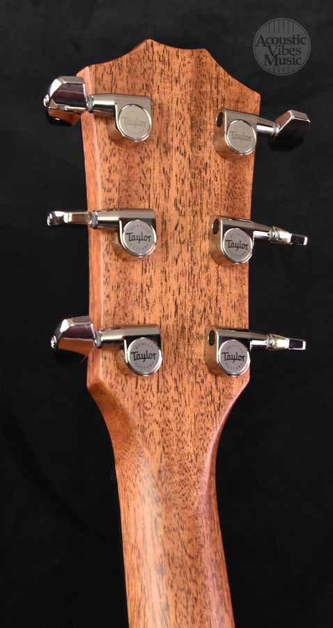 Taylor Builders Edition  717E WHB Sunburst Top V-Class