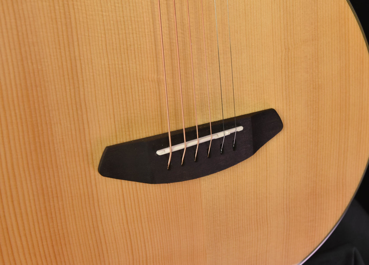 Breedlove Discovery Concertina CE Sitka Spruce and Mahogany