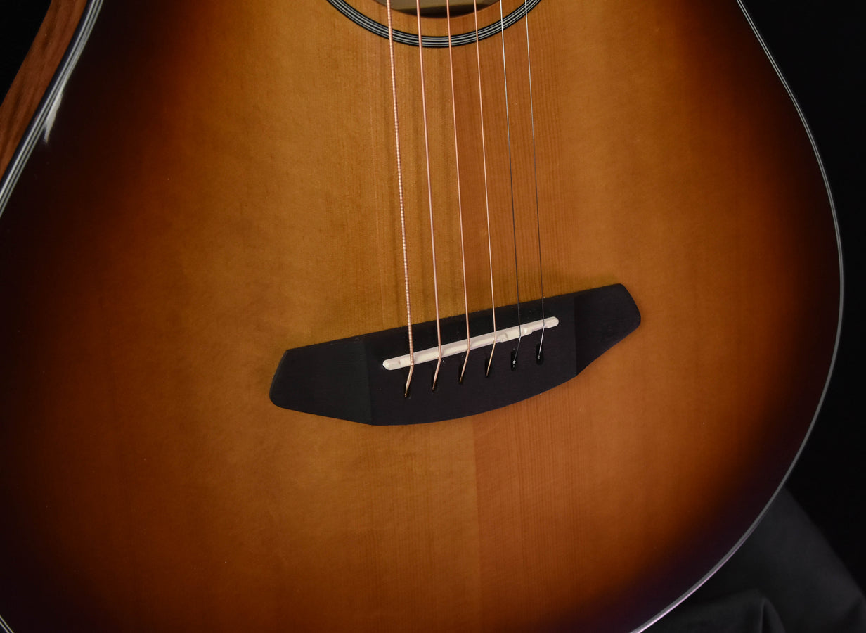 Breedlove Discovery Concertina Sunburst CE Sitka Spruce and Mahogany