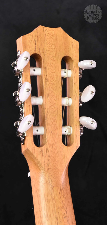 Taylor 214CE-N Rosewood Prototype  Gloss Top!