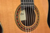 Cordoba Friederich Luthier Select Classical Guitar- Cedar Top/ Indian Rosewood