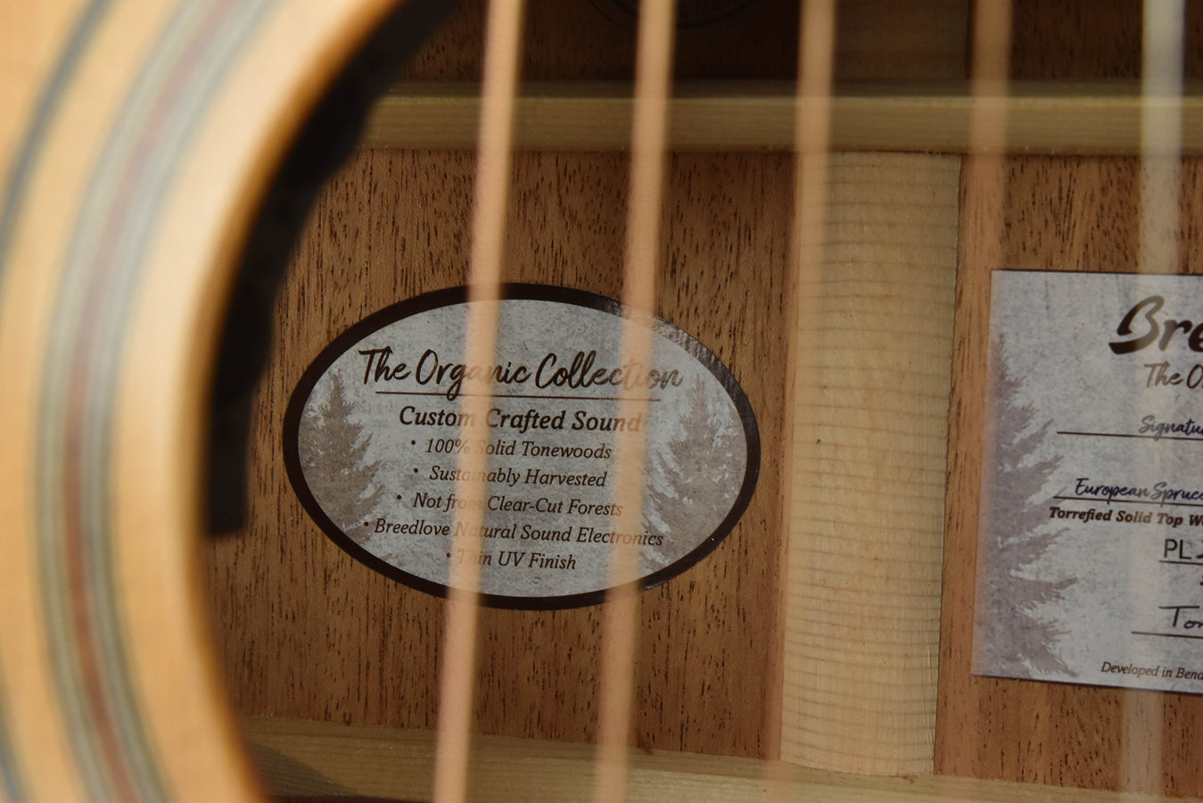 Breedlove Signature Concertina Copper E Torrefied European Spruce/ African Mahogany