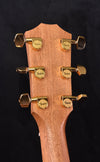 Taylor 214CE-BL LTD Black Limba/ Sitka Spruce