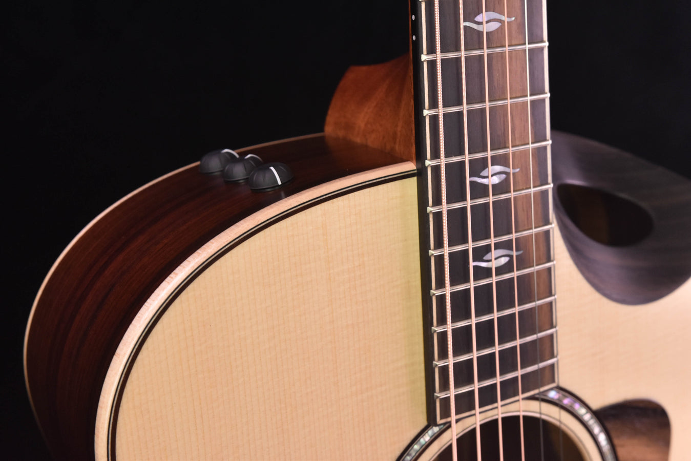 Taylor 816CE Builder's Edition