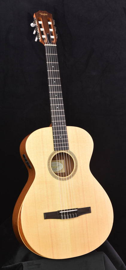 Used Taylor 12E-N Nylon