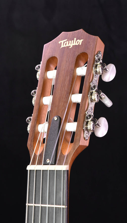 Used Taylor 12E-N Nylon
