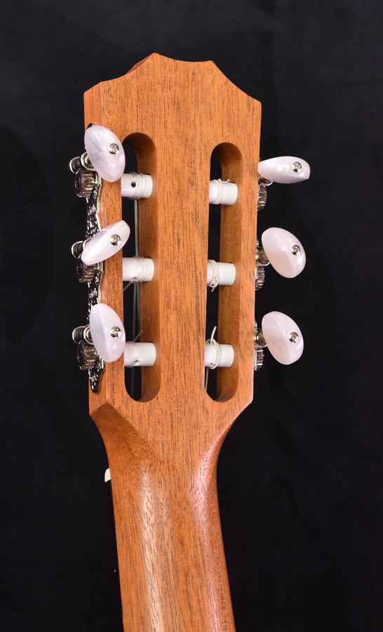 Used Taylor 12E-N Nylon